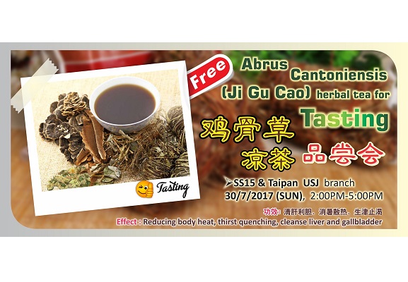 Abrus cantoniensis (Ji Gu Cao) Herbal Tea for Tasting 鸡骨草凉茶品尝会